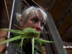 Cute blonde slave likes the feel of pain BDSM porn